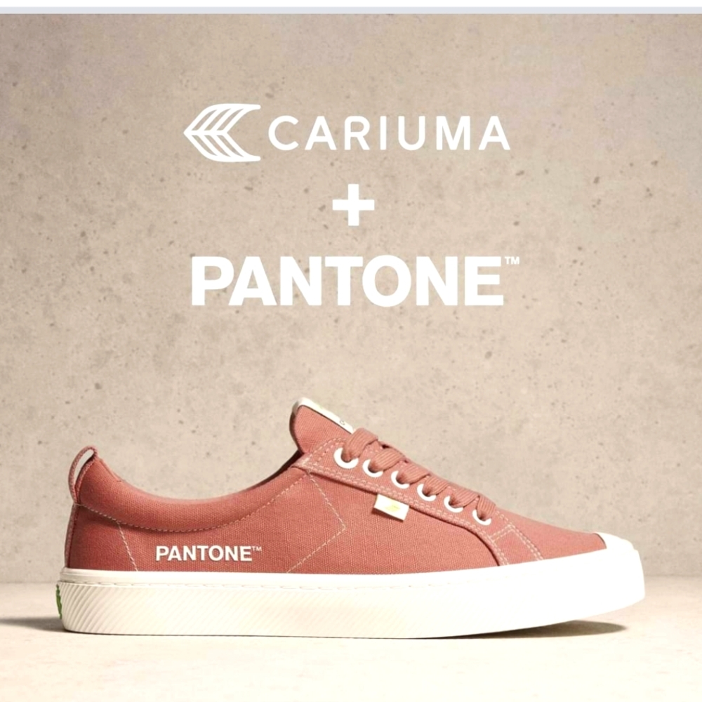 NIB CARIUMA X PANTONE OCA LOW CANVAS SNEAKER WITHERED ROSE UNISEX 10W